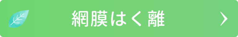 網膜はく離｜日野いとう眼科｜東京都日野市｜日野駅から徒歩1分の眼科